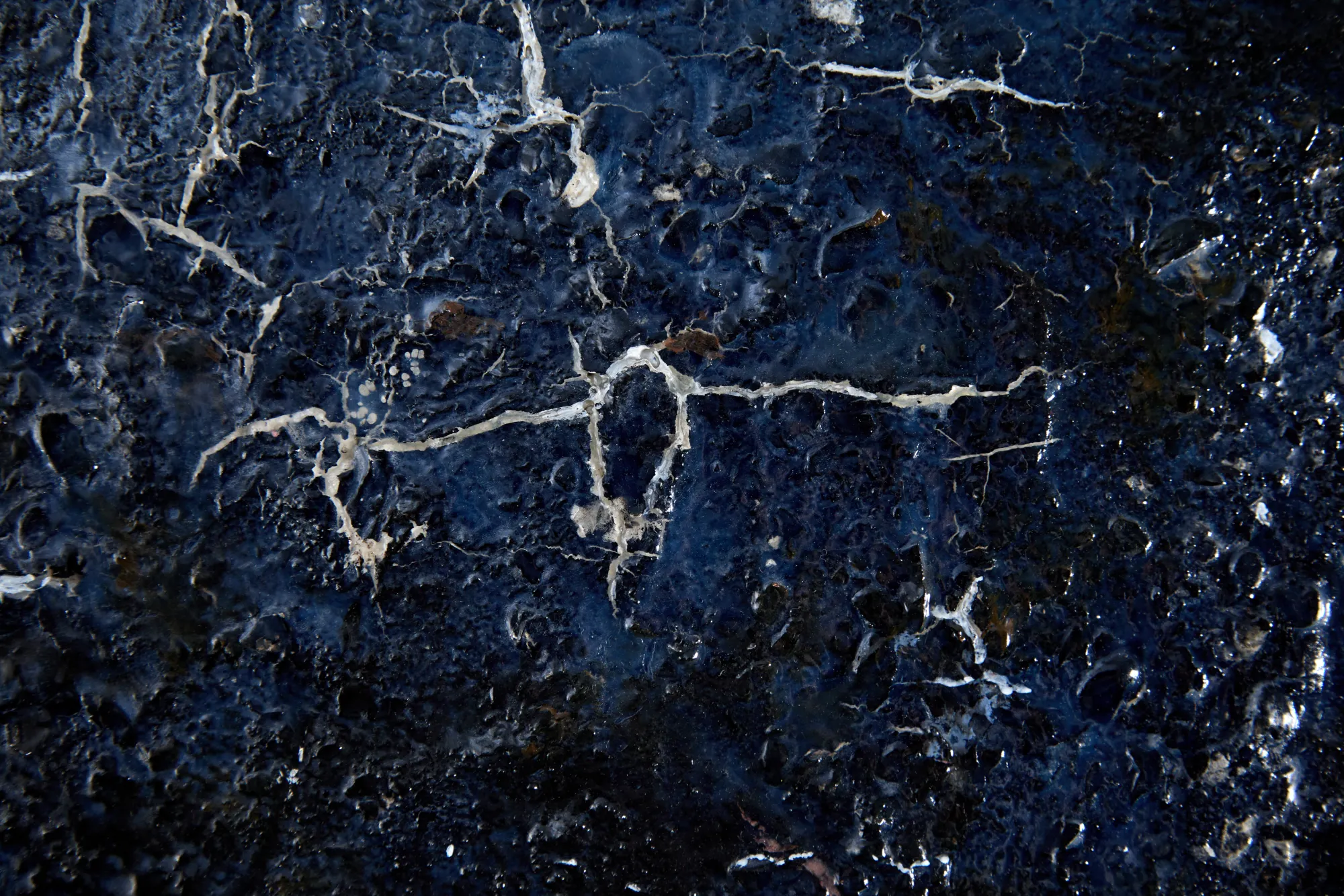 You and I are Earth, fragment, 2025